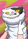 judd roll