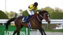 skysports-stay-foolish-racing_5879370