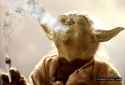 yoda smoking a blunt