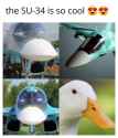 bhrhtmfy7zf71