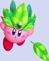 A FUCKING LEAF Kirby