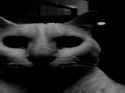 Horror