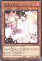 AshBlossomJoyousSpring-TTP1-JP-R