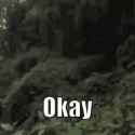 okay-ok