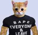 bapes you