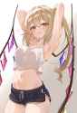 __flandre_scarlet_touhou_drawn_by_haruki_colorful_macaron__c213089180f012af25090ecd3bbc5096