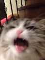 ahhhh