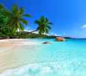 TOTAL SHORE
