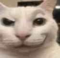 1732806018829817