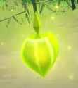 Bloom_Dendro_Core