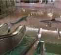 mall_hurricane