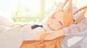 seiaL2D