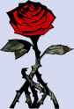 Wrath-drenched_Rose_Idle_Sprite