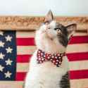 il_fullxfull.3124500920_93hg_2000x