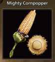 cornpop