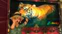 AND THE FREE TIGER POSTER