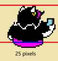 25 pixels