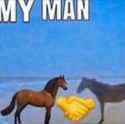 my man