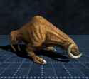 sirianwerebull