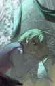 99907534_p0_master1200