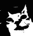 1687176916416756