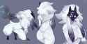 8d4600d01b03a201cf4225373a8b9d55