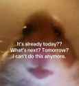 1720931969508822