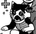 surprise petting