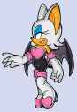 418px-Sa2b_rouge02
