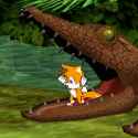 tails eaten by croccoile