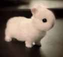 bun