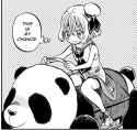 lierre ride panda risky