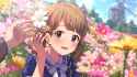 Momoko_TD_SSR8