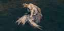 elden-ring-shadow-of-the-erdtree-igon-questline[1]