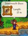 Fish_Display
