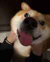 GoBnWNYXYAEWx9T