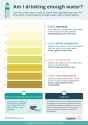 bth-urine-colour-chart