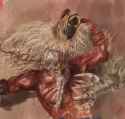 image_2025-07-05_005944812