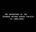 Teenage Mutant Ninja Turtles (USA)-250704-203433