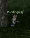 Puddingway