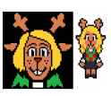 noelle hunch