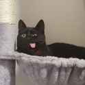 dumbdumbblep