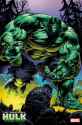 why-does-hulk-look-beautiful-with-long-hair-v0-dfil2xumgsme1