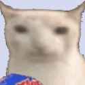 gato