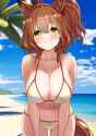 17d704254e61be204090d267a55455a3