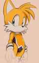 tails swimsuit