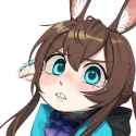 angrmiya