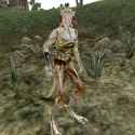 600px-MW-npc-Shatalg