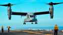 The-osprey