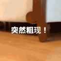 5c1e43463836f3aa79a5b1ef843a464b_846866033480881530